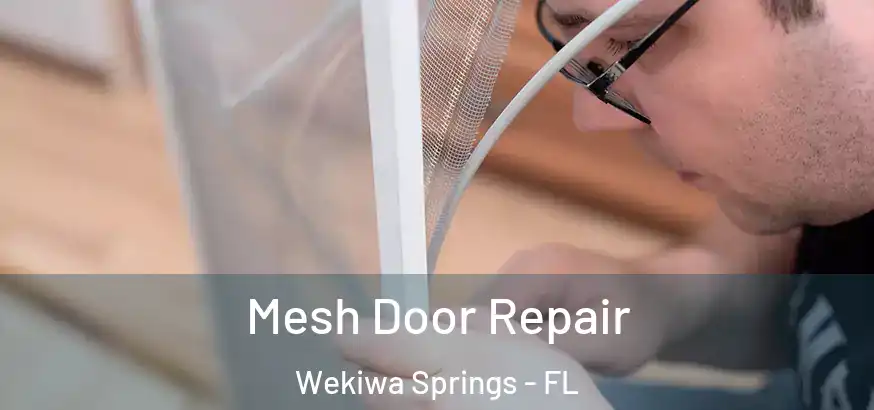  Mesh Door Repair Wekiwa Springs - FL