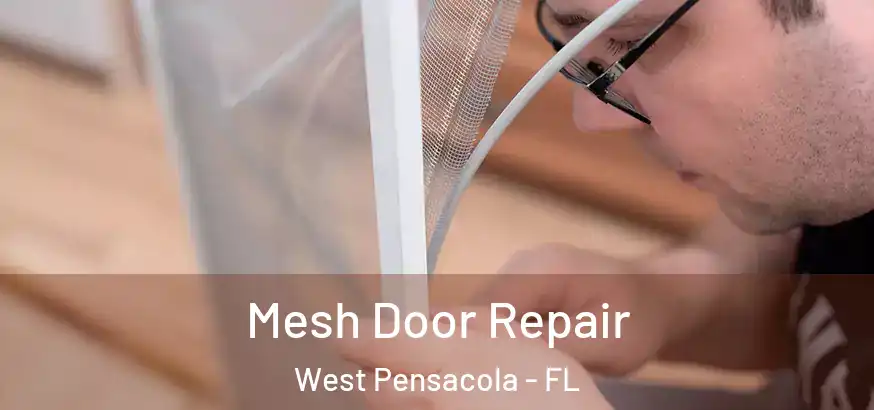  Mesh Door Repair West Pensacola - FL