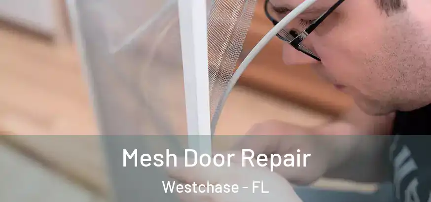  Mesh Door Repair Westchase - FL