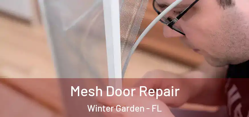  Mesh Door Repair Winter Garden - FL