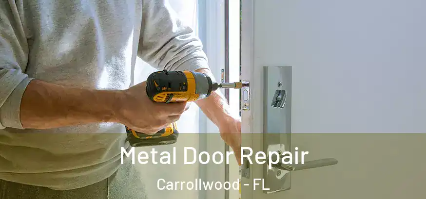  Metal Door Repair Carrollwood - FL