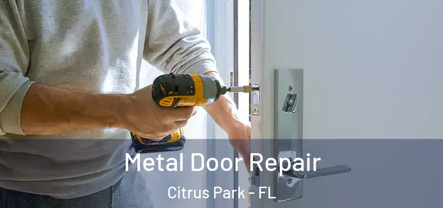 Metal Door Repair Citrus Park - FL