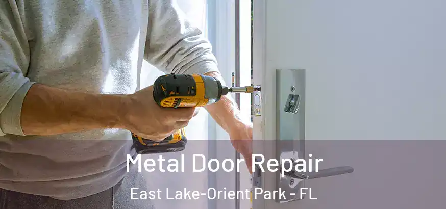 Metal Door Repair East Lake-Orient Park - FL