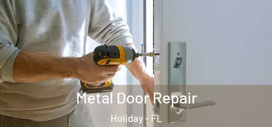  Metal Door Repair Holiday - FL