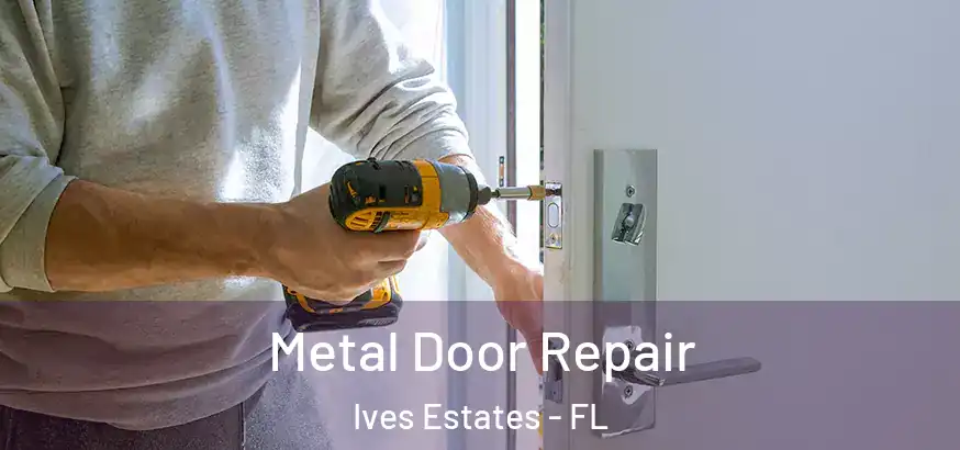 Metal Door Repair Ives Estates - FL
