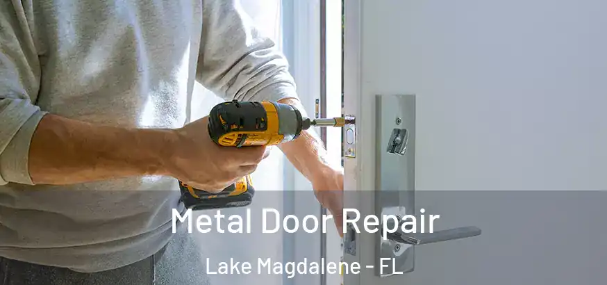  Metal Door Repair Lake Magdalene - FL