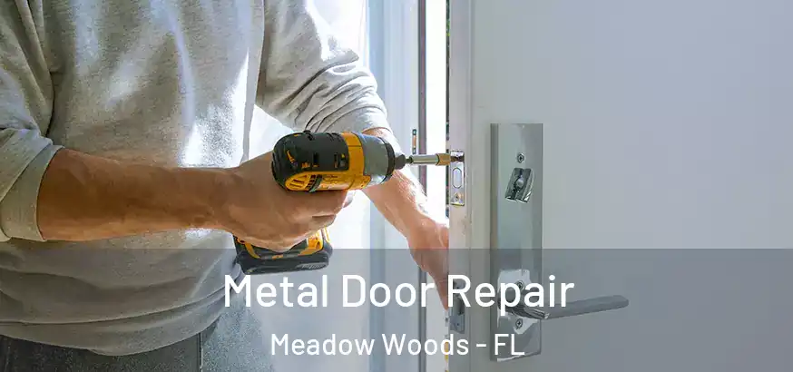  Metal Door Repair Meadow Woods - FL