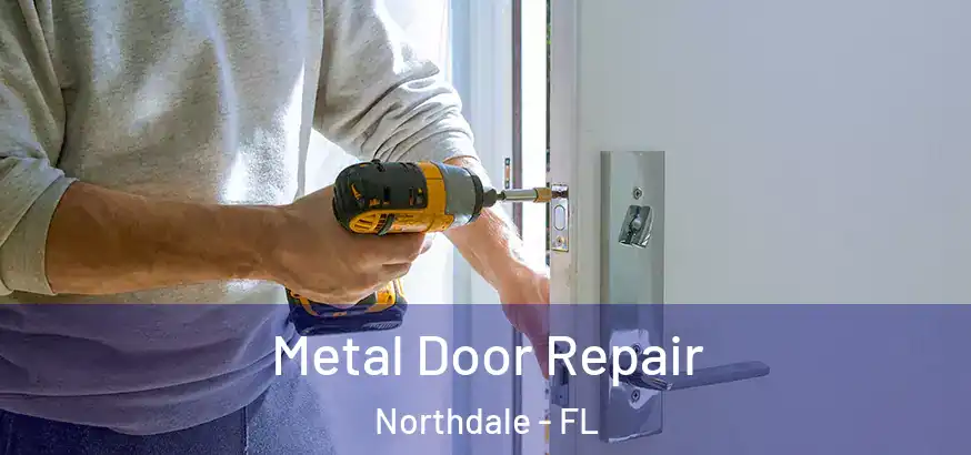  Metal Door Repair Northdale - FL