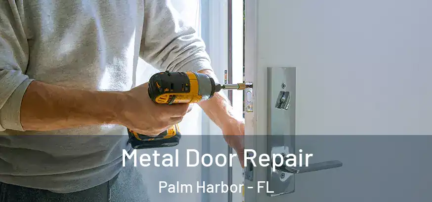 Metal Door Repair Palm Harbor - FL