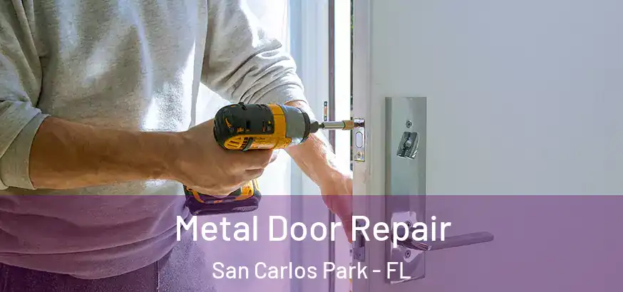  Metal Door Repair San Carlos Park - FL