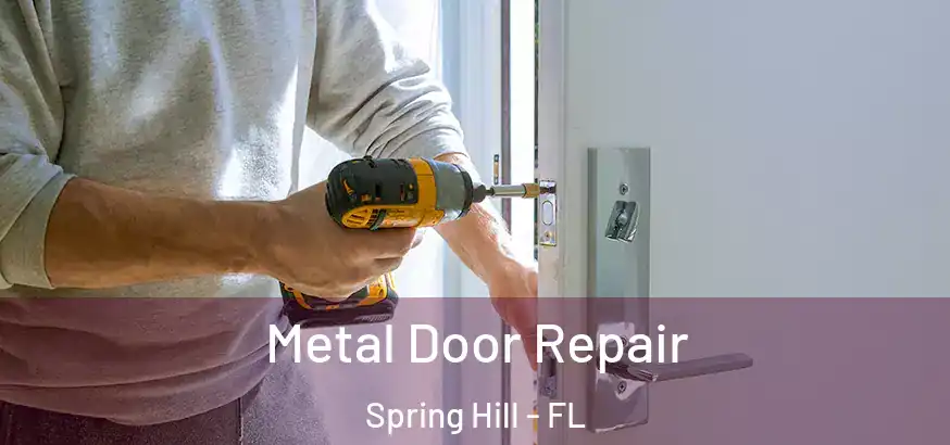 Metal Door Repair Spring Hill - FL