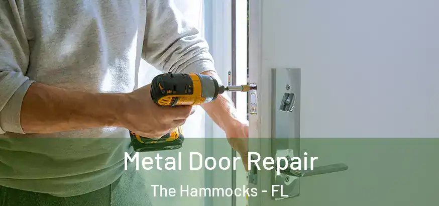 Metal Door Repair The Hammocks - FL