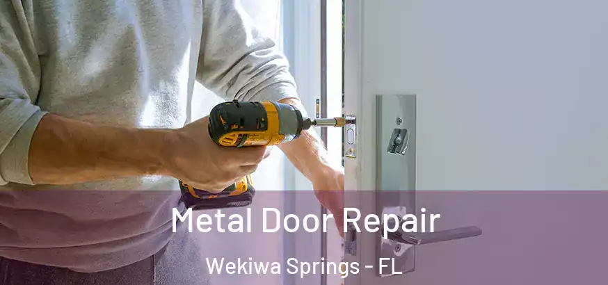 Metal Door Repair Wekiwa Springs - FL