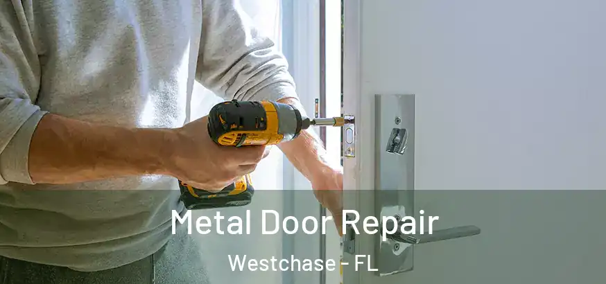  Metal Door Repair Westchase - FL