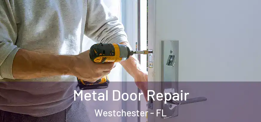  Metal Door Repair Westchester - FL