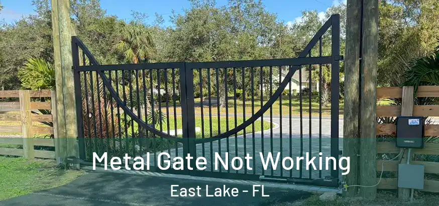 Metal Gate Not Working East Lake - FL