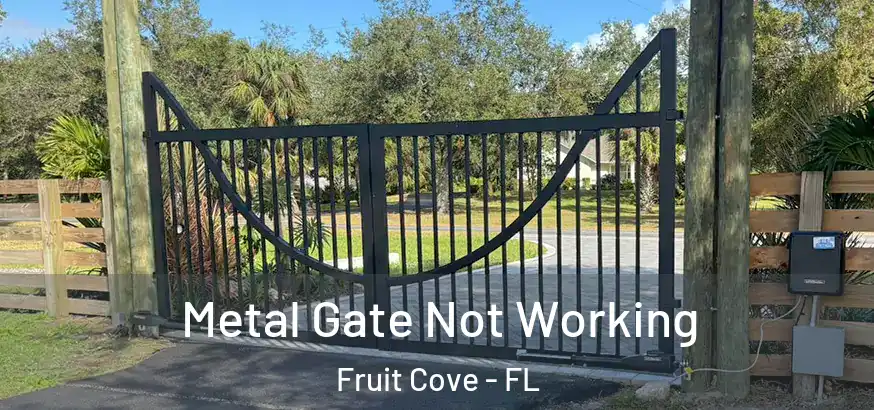  Metal Gate Not Working Fruit Cove - FL