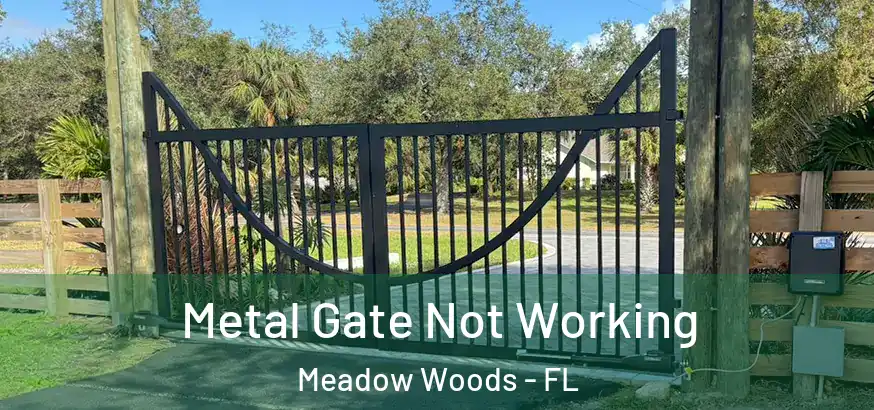  Metal Gate Not Working Meadow Woods - FL
