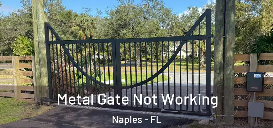  Metal Gate Not Working Naples - FL