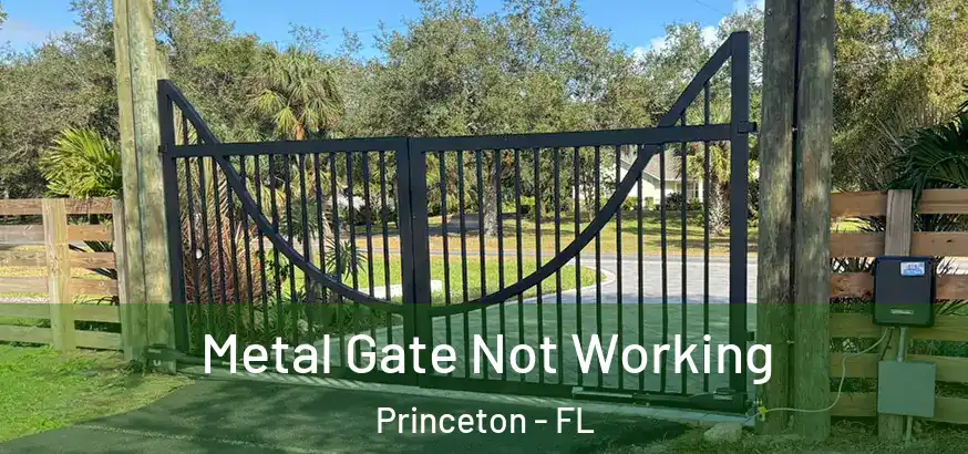  Metal Gate Not Working Princeton - FL