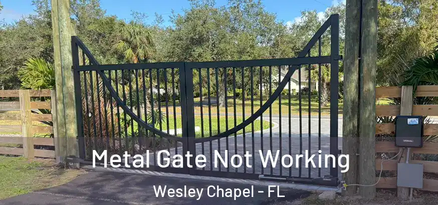  Metal Gate Not Working Wesley Chapel - FL