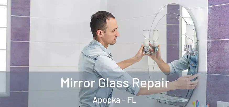  Mirror Glass Repair Apopka - FL