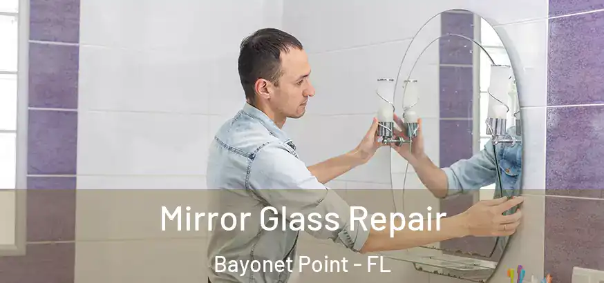  Mirror Glass Repair Bayonet Point - FL