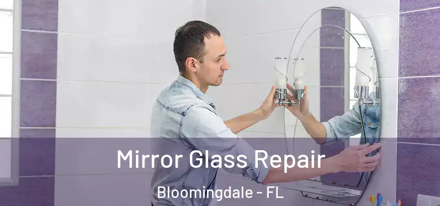  Mirror Glass Repair Bloomingdale - FL