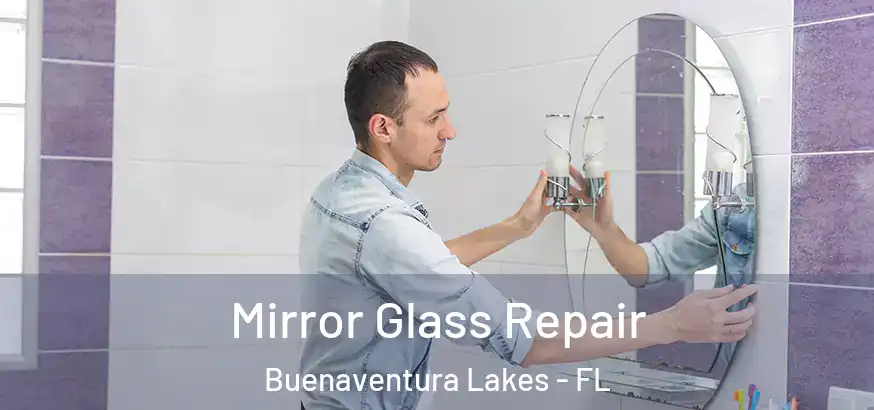  Mirror Glass Repair Buenaventura Lakes - FL