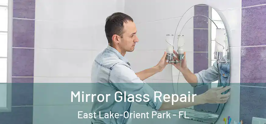  Mirror Glass Repair East Lake-Orient Park - FL
