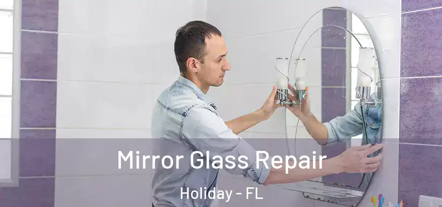 Mirror Glass Repair Holiday - FL