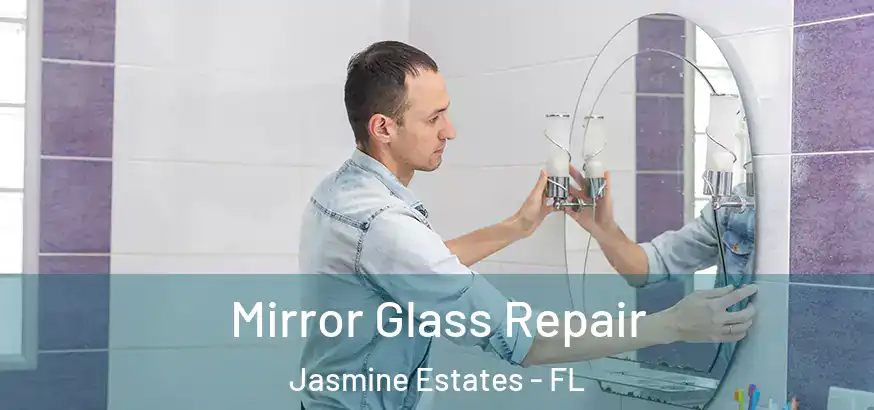 Mirror Glass Repair Jasmine Estates - FL
