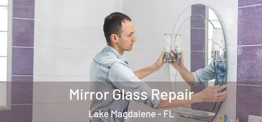  Mirror Glass Repair Lake Magdalene - FL