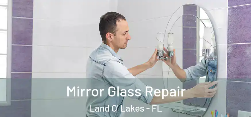 Mirror Glass Repair Land O' Lakes - FL