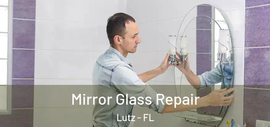  Mirror Glass Repair Lutz - FL