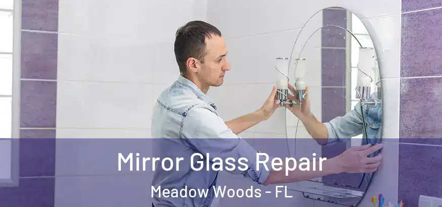 Mirror Glass Repair Meadow Woods - FL