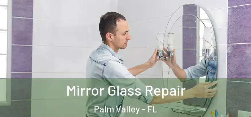  Mirror Glass Repair Palm Valley - FL