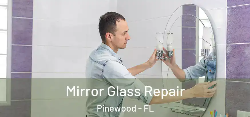  Mirror Glass Repair Pinewood - FL