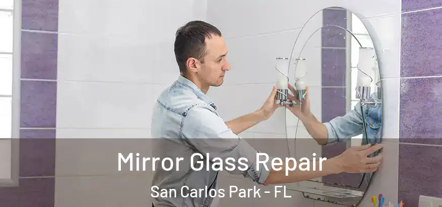  Mirror Glass Repair San Carlos Park - FL