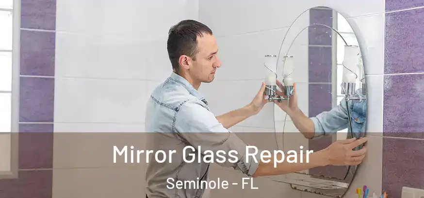  Mirror Glass Repair Seminole - FL
