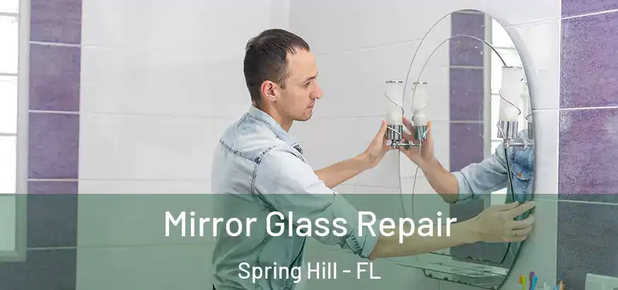  Mirror Glass Repair Spring Hill - FL