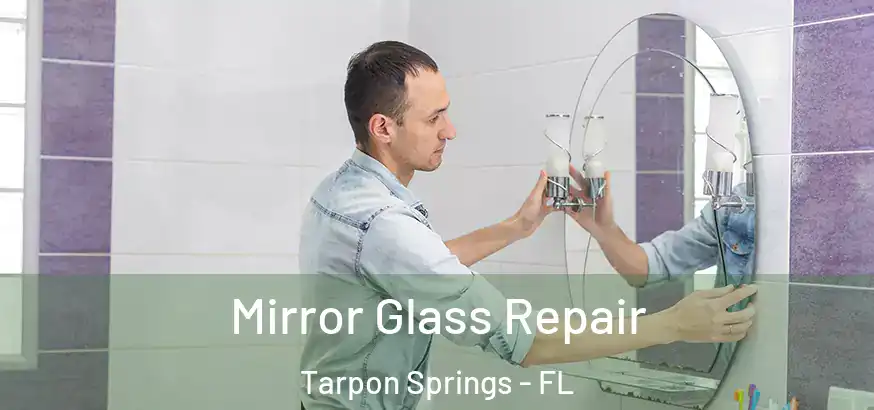  Mirror Glass Repair Tarpon Springs - FL