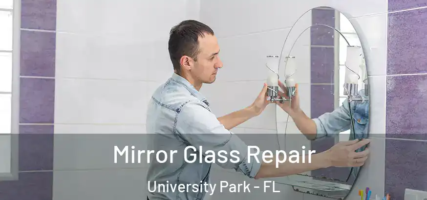  Mirror Glass Repair University Park - FL