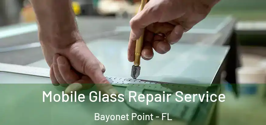 Mobile Glass Repair Service Bayonet Point - FL