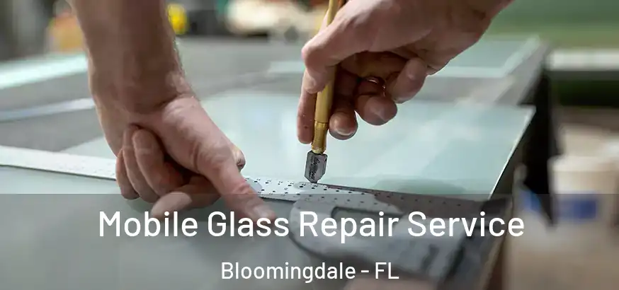  Mobile Glass Repair Service Bloomingdale - FL