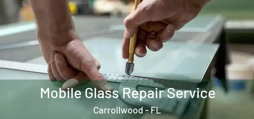  Mobile Glass Repair Service Carrollwood - FL