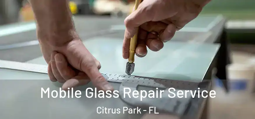  Mobile Glass Repair Service Citrus Park - FL