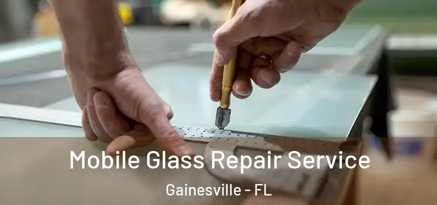 Mobile Glass Repair Service Gainesville - FL