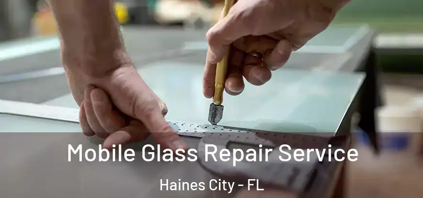  Mobile Glass Repair Service Haines City - FL