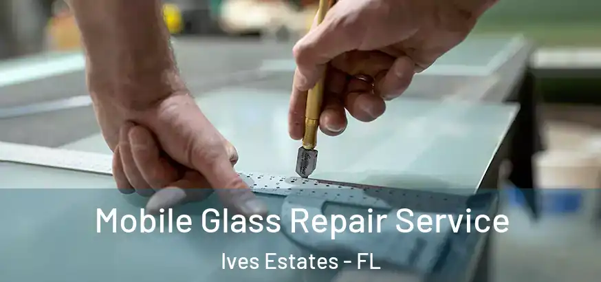 Mobile Glass Repair Service Ives Estates - FL